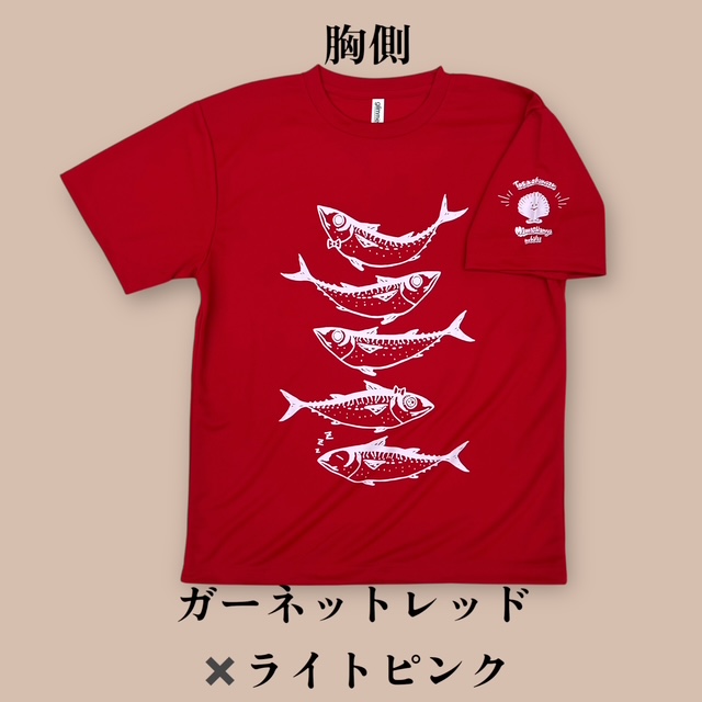 2025さばT　ドライ